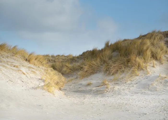 Апартаменты Alte Schule Suederdeich *