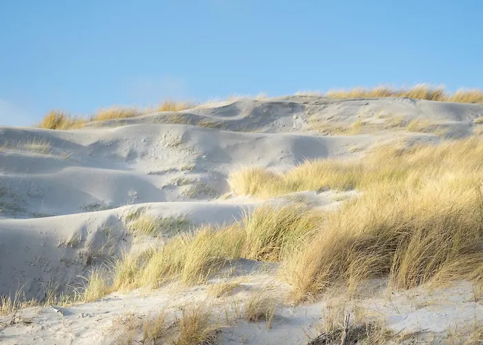 Alte Schule Suederdeich Апартаменты *